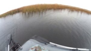 Джеркбейт на сломе сезонов.  #jerkbait#pike#volgaspintv#рыбалканащуку#осеннийжор #salmo