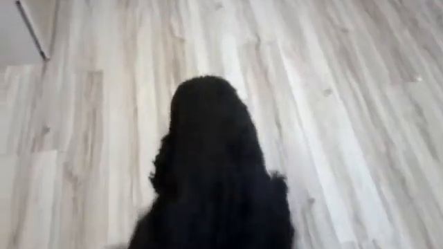 Белла гавкает