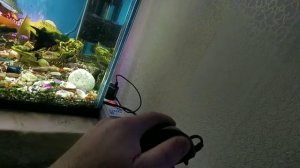 Распылитель, компрессор. Аквариум 165 литров