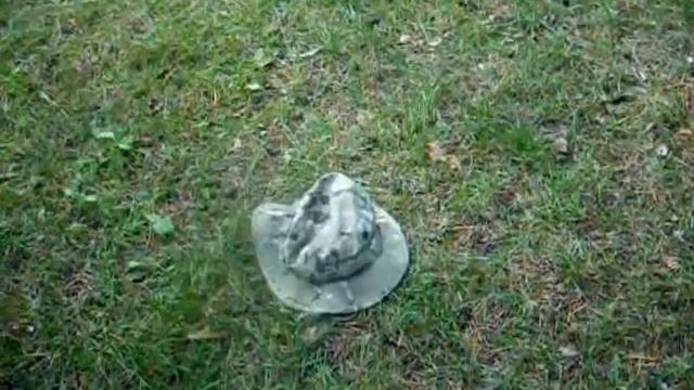 Волшебная шляпа смотреть онлайн