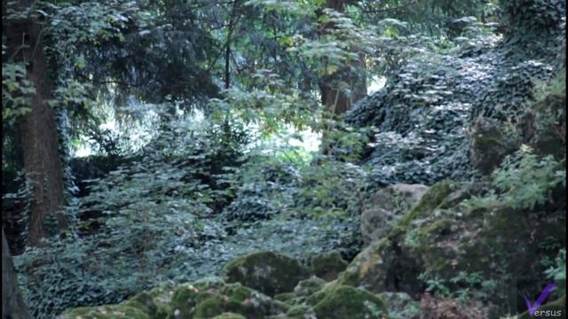 CANON EOS 600D / Rebel T3i 18-135mm Full HD Test - Woodland fairy - Nature смотреть онлайн