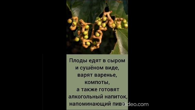 вечер 16.08 5 смотреть онлайн