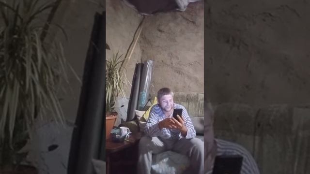 Обустройство Свинарника И Пасеки