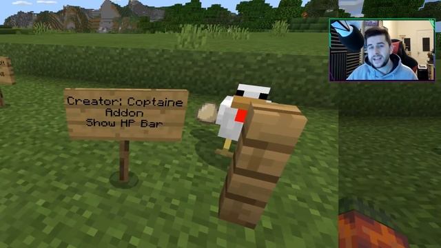 TOP 5 BEST SURVIVAL ADDON! For Minecraft Pocket Edition (iOS, Android, PC, Xbox, Switch,PS4) смотреть онлайн