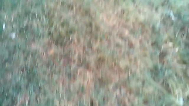 Рыбалка в Астрахани. Гости пришли)) смотреть онлайн