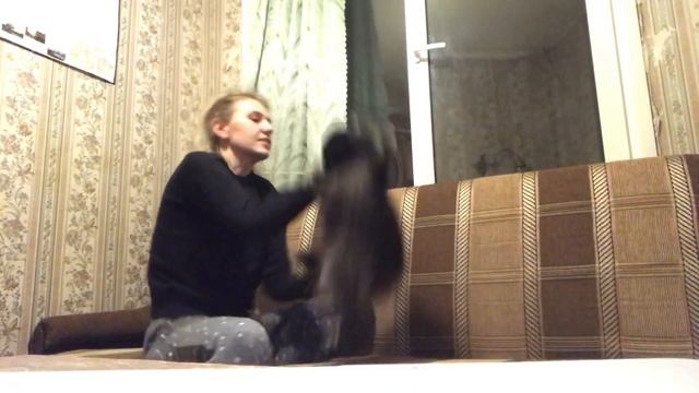 Как играть с енотом. Часть 1 смотреть онлайн