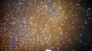 Инкубация икры клариевого сома 1 часть! The incubation of eggs cleavage catfish part 1