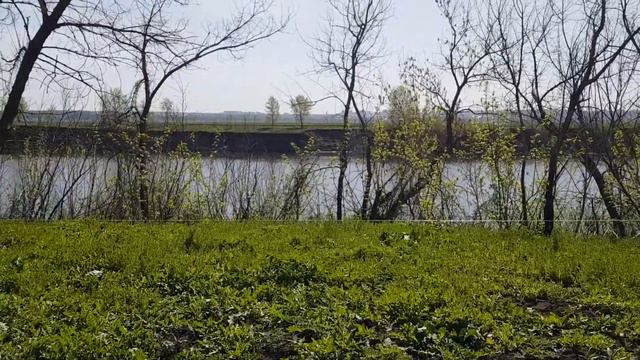 Участки у Дона смотреть онлайн