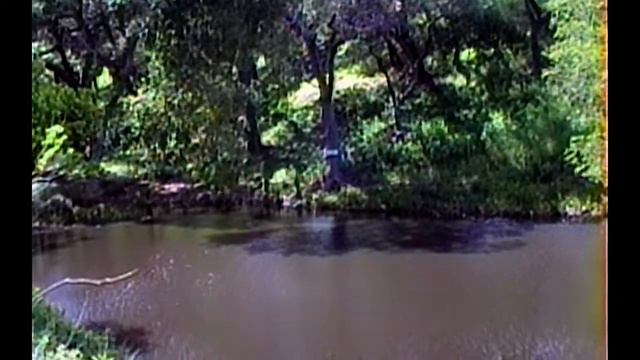 MSIA | John-Roger Who is in Your Kingdom of Heaven? смотреть онлайн