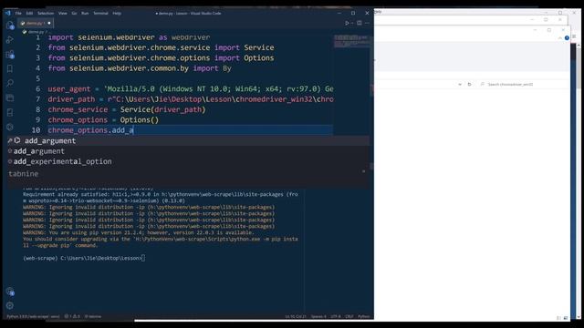 Install & Setup Selenium Python For Chrome (For Beginners) смотреть онлайн