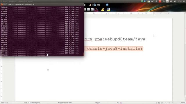 Java 8 on Ubuntu смотреть онлайн
