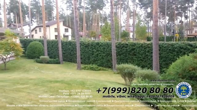 обрезка-туй.рф ☎ +7(999)820-80-80 и стрижка туй формирование туй цена, формирование кроны смотреть онлайн