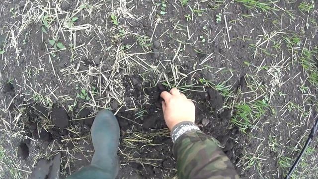 Очередной выход в поля с Minelab EQUINOX 800 смотреть онлайн