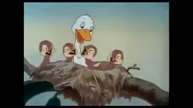 MUTFILM