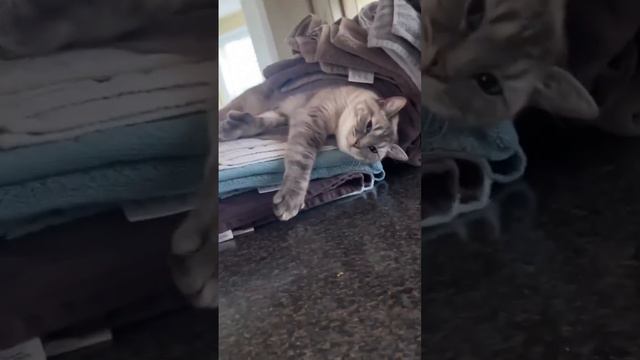 Напрыгался и спит смотреть онлайн