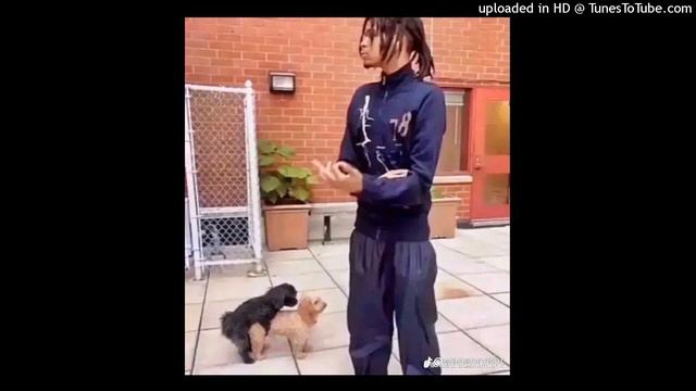 FREE CHOPPED AH XAVIERSOBASED TYPE BEAT