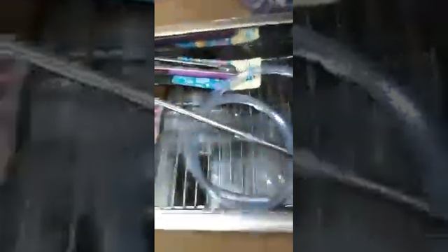 Отзыв Светланы из Питера смотреть онлайн