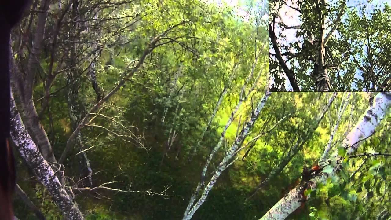 Лазание по деревьям - 2 / Tree climbing - 2 (Climber Audiomix) смотреть онлайн