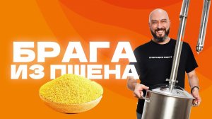Пшённый самогон | как сделать брагу из пшена