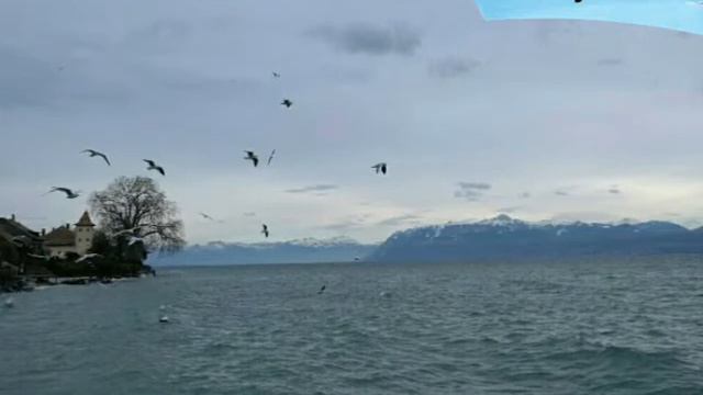 Кудратбек Абдумоминов  