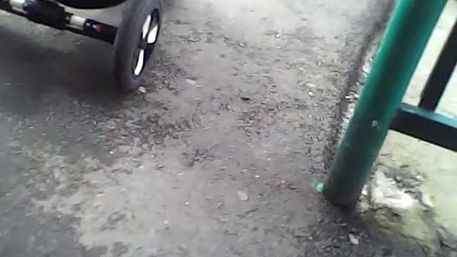 Зоопарк🐦🐢🐶🐩🐰🐓🐔🐀 смотреть онлайн