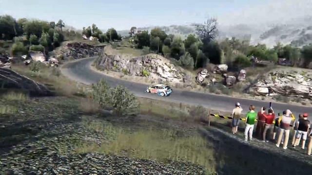 Ford Puma WRC Rally 1 Car - Glava Zete