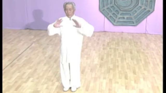 Sun Zhi Jun's Bagua book & DVD in English смотреть онлайн