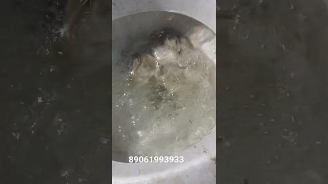 Засор унитаза Томск, засорился туалет звони 89061993933 Алексей #засор #прочисткаканализации #томск смотреть онлайн