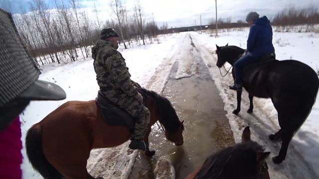 Весенняя конная прогулка от первого лица. смотреть онлайн