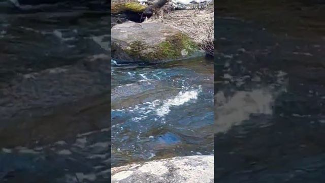 Край мой родной Казахстан. Ульгулинский каньон.Зерендинский водопад.Река Чаглинка.Акмолинская обл. смотреть онлайн