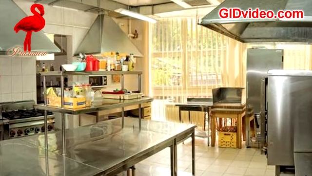 Ровно ресторан Фламинго Оборудование на gidvideo.com смотреть онлайн