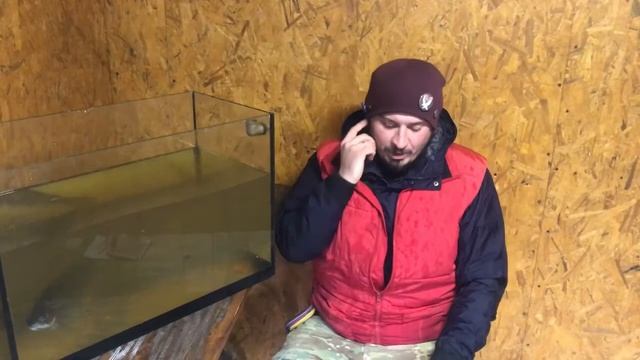 Вторая песня для форели смотреть онлайн