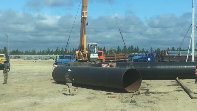 Очень опытный крановщик) смотреть онлайн