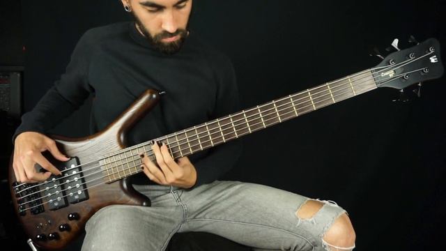 JINJER - Vortex (Bass Cover) + FREE TAB смотреть онлайн