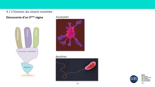 Année de la biologie "Les sciences du vivant, une révolution en marche" par Catherine Jessus смотреть онлайн