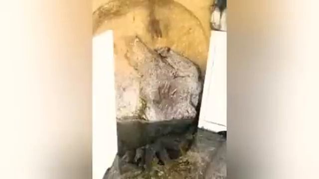 Satguru Avan Ge Fehra Pavn Ge (HD VIDEO) | Full Song Gurbani Shabad | Turbanator Davinder Singh смотреть онлайн