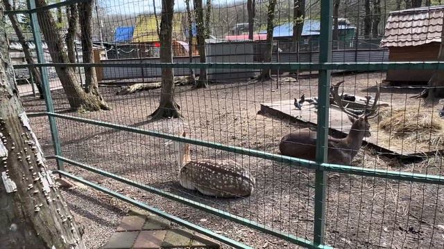 По Ставрополю пешком👣12 км смотреть онлайн