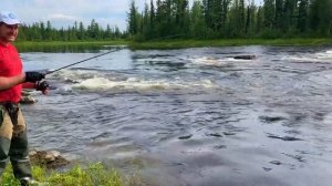 Рыбалка на ТАЙМЕНЯ! Охота на ЛУЧШИХ Трофеев СЕВЕРНЫХ рек Красноярского края!