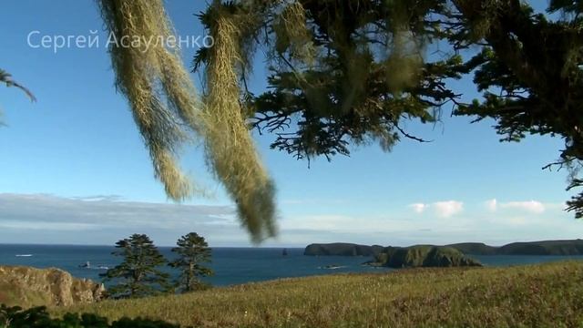 Шикотан ролик смотреть онлайн