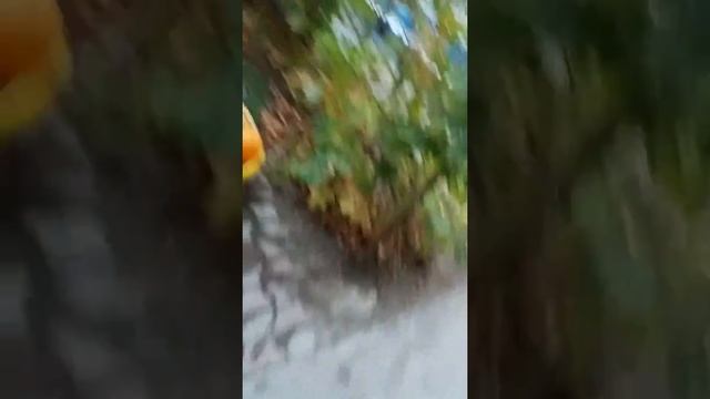 Продолжение дачи(1) смотреть онлайн