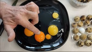 Вся ПРАВДА о магазинных яйцах. Это должен знать каждый