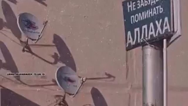 НЕ ЗАБУДЬТЕ ПОМИНАТЬ АЛЛАХА смотреть онлайн