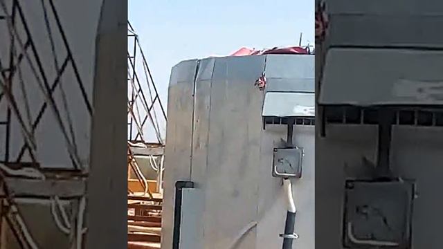 Чайка защищает своё гнездо смотреть онлайн