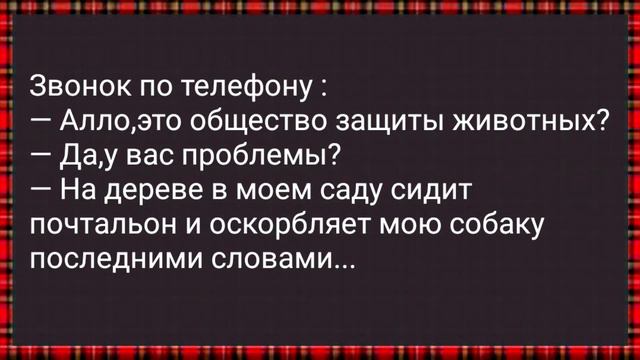 Как Начальник с Секретаршей Грешил! Сборник Свежих Анекдотов! Юмор! смотреть онлайн