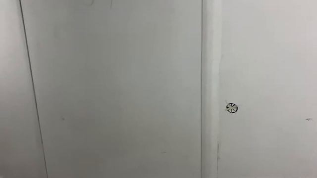 ВЛОГ Дальнее путешествие в Рубли / Засветился в новостях / Зачем были пончики?.. смотреть онлайн