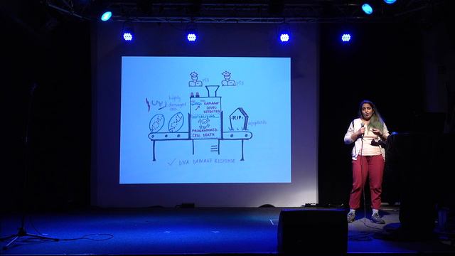 The hero protein, that guards our genome (Pavana Lakshmi Vaddavalli – Science Slam) смотреть онлайн