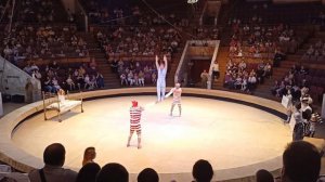 ОТЗЫВ. НА ЦИРК "ДЕВОЧКА И СЛОН" Воронеж