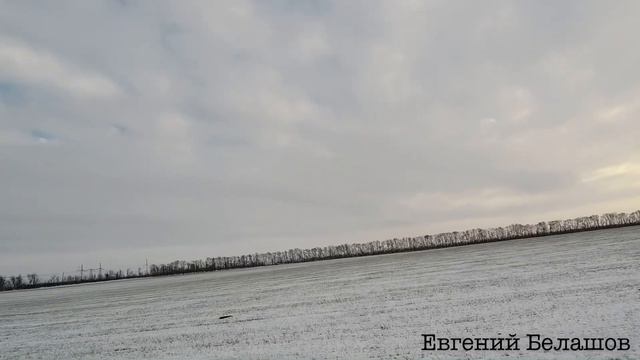 ОХОТА НА ЗАЙЦА ПО ПЕРВОМУ СНЕГУ! ЗАЙЦЫ В ЛЁЖКАХ!!!🐇🐇🐇 смотреть онлайн