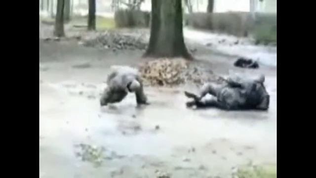 Ленинград Хорошо быть Алкашом смотреть онлайн