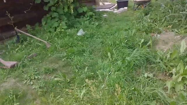 Как сажать плодовые деревья в карьерный песок, проверенный мною метод агронома из СССР смотреть онлайн